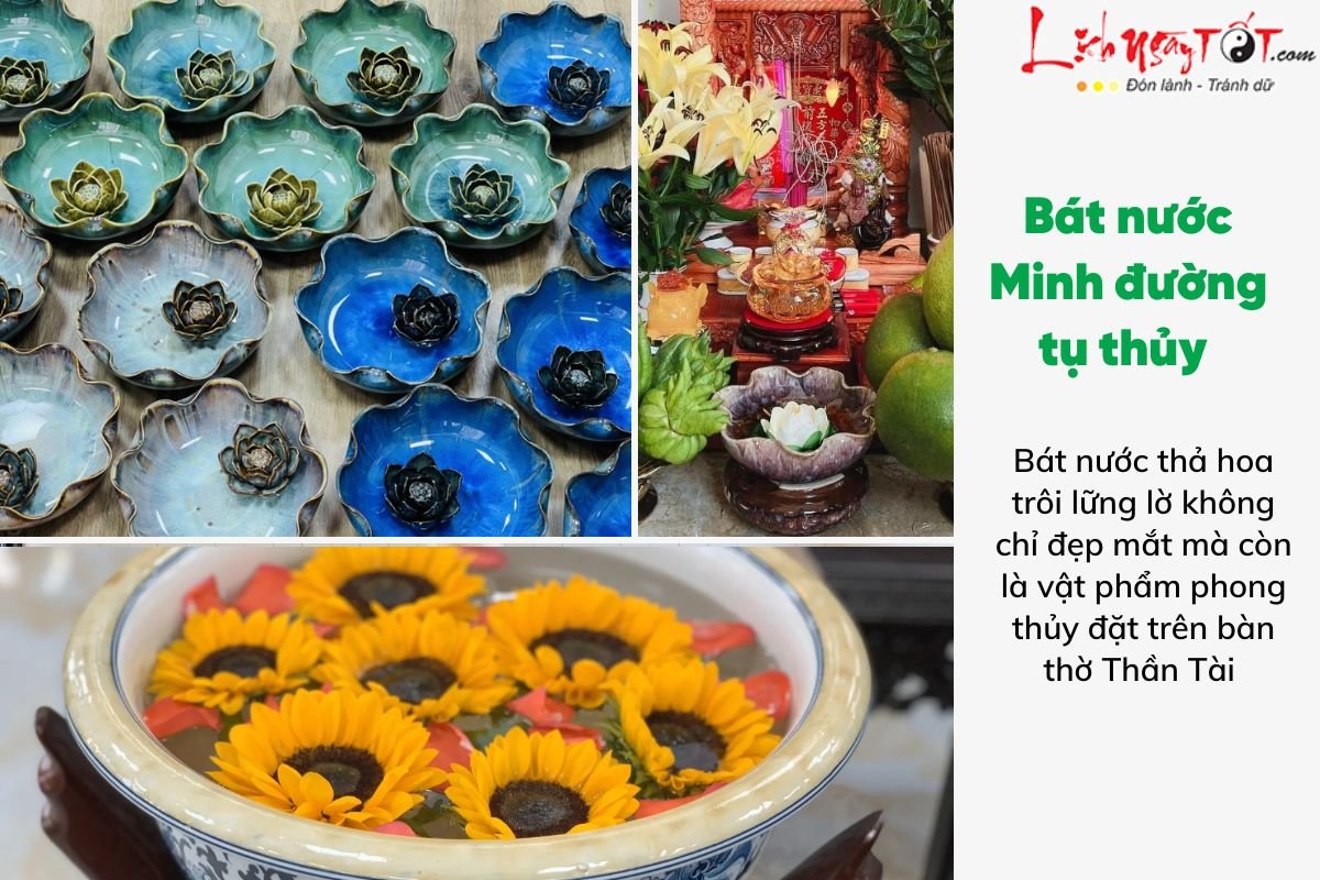 Tac dung cua minh duong tu thuy la gi