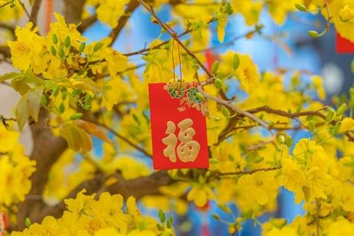 Tai loc 12 con giap Tet 2024