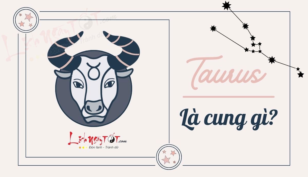 Taurus la cung gi
