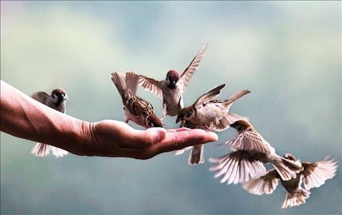 ten-tieng-anh-mang-y-nghia-thanh-thien ten-tieng-anh-mang-y-nghia-thanh-thien