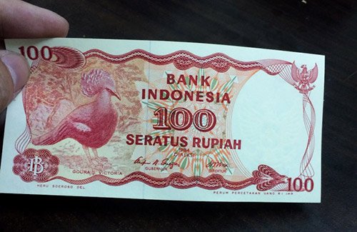 Tet Dinh Dau tang nhau tien in hinh con ga ruoc lay phuc loc tho hinh anh goc