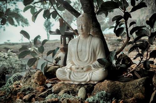 Tha thu cho nguoi lam ton thuong ban 3