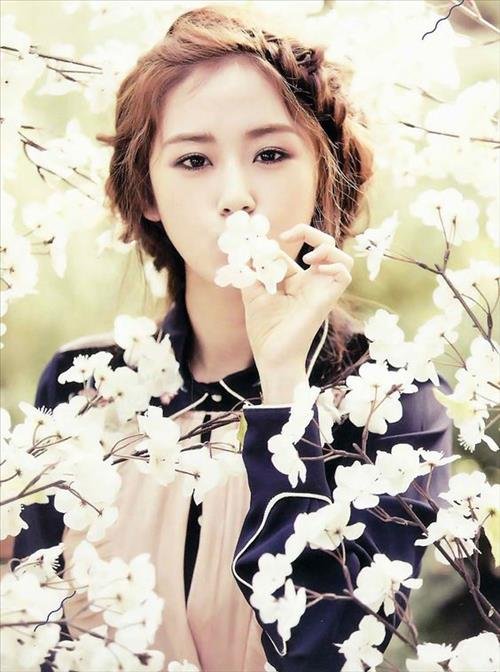 tính cách tuổi Thìn cung Sư Tử hợp làm lãnh đạo tinh cach tuoi Thin cung Su Tu hop lam lanh dao