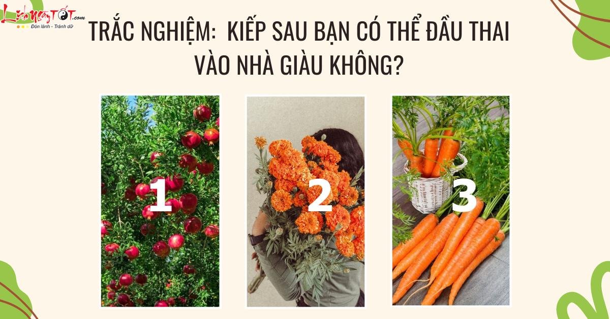 trắc nghiệm số phận kiếp sau trac nghiem so phan kiep sau