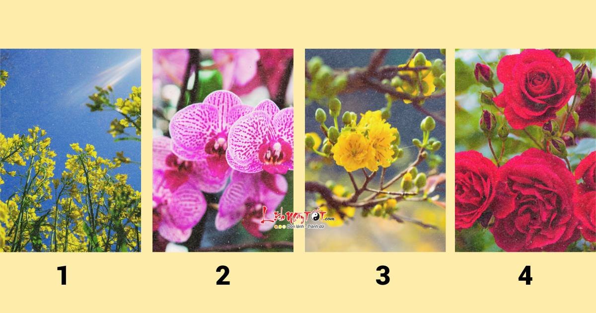 trac nghiem xem tien bac cua ban trong 50 ngay toi