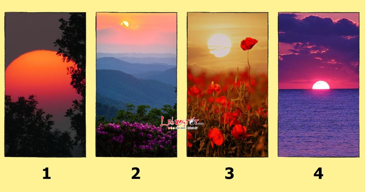 trac nghiem xem van de ban can giai quyet nhat nam 2024