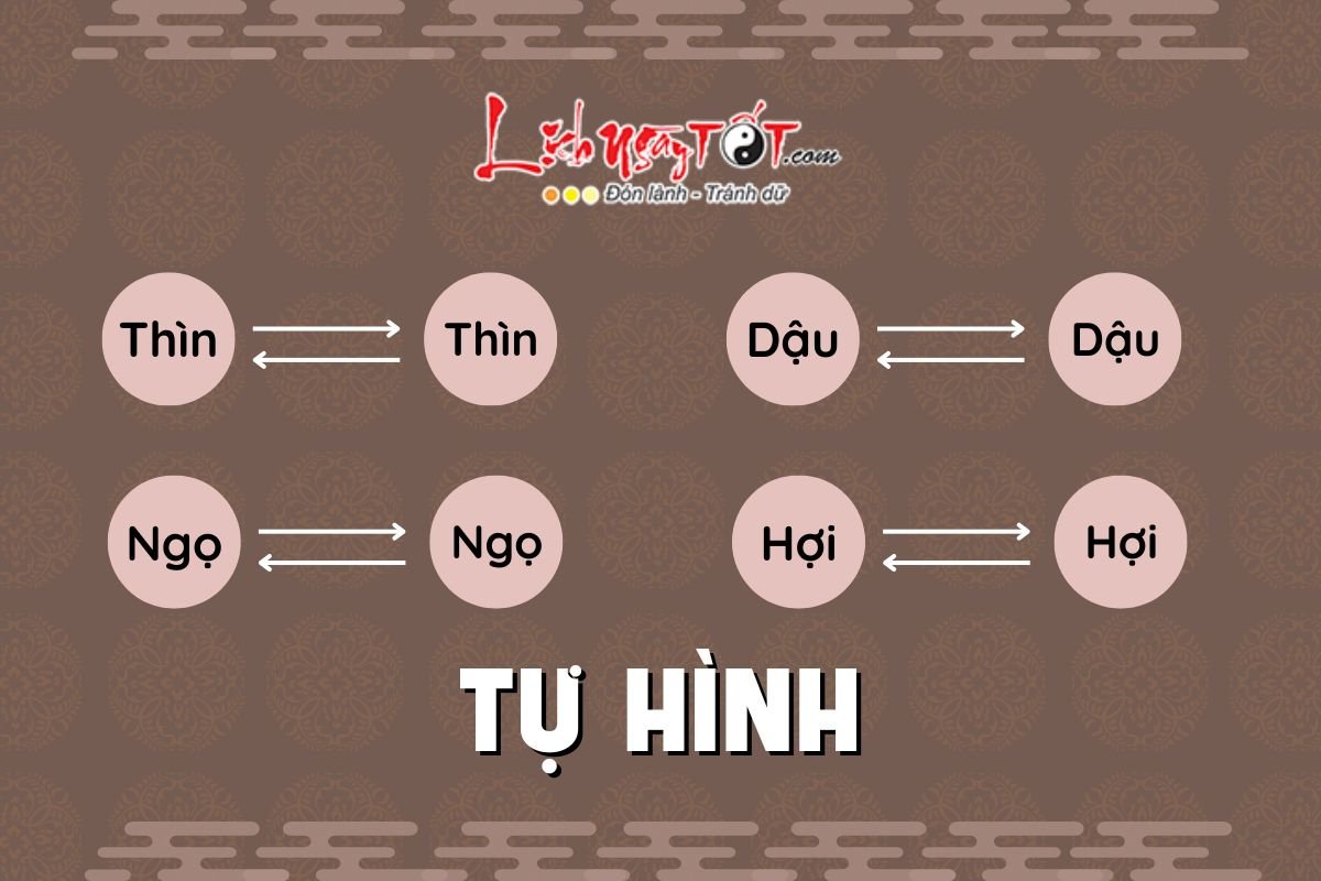 Tu Hinh Thai Tue