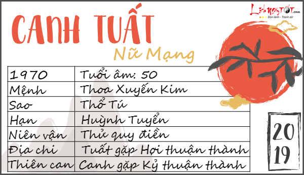 Tu vi 2019 tuoi Canh Tuat nu mang