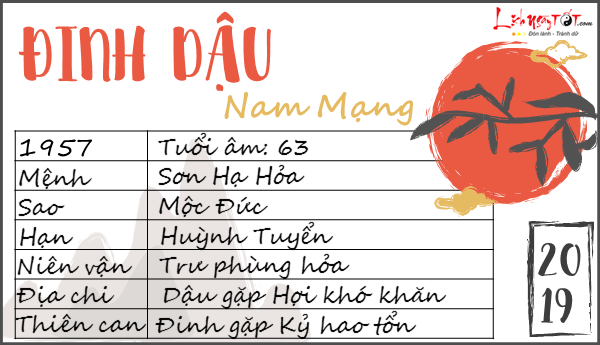 Tu vi 2019 tuoi Dinh Dau nam mang