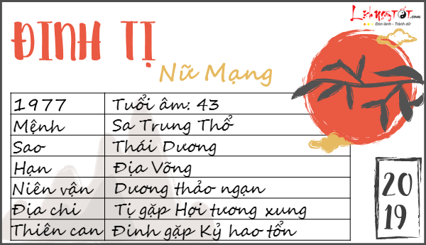 Tu vi 2019 tuoi Dinh Ti nu mang