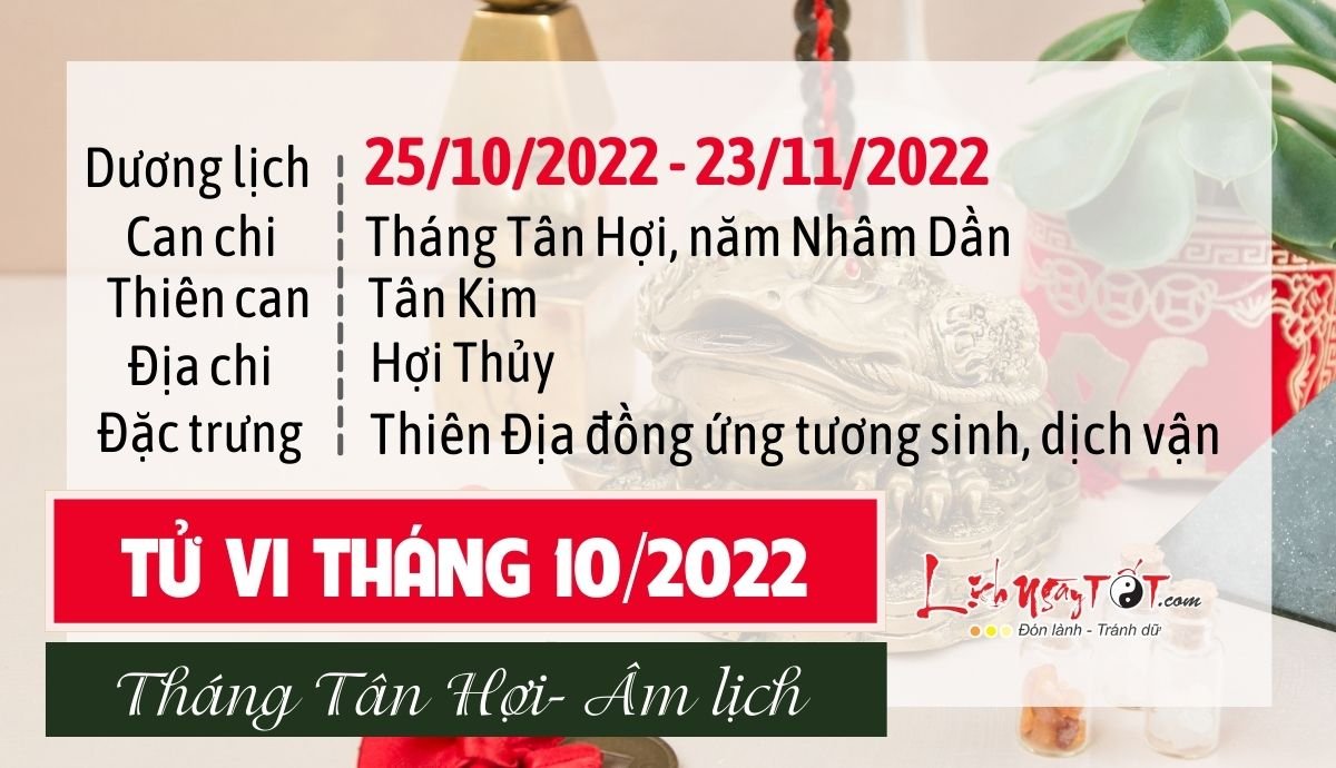 Tu vi thang 10/2022 tuoi Ty Am lich