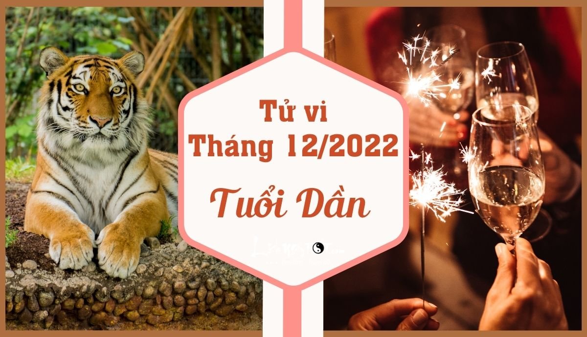 Tu vi thang 12/2022 tuoi Dan am lich