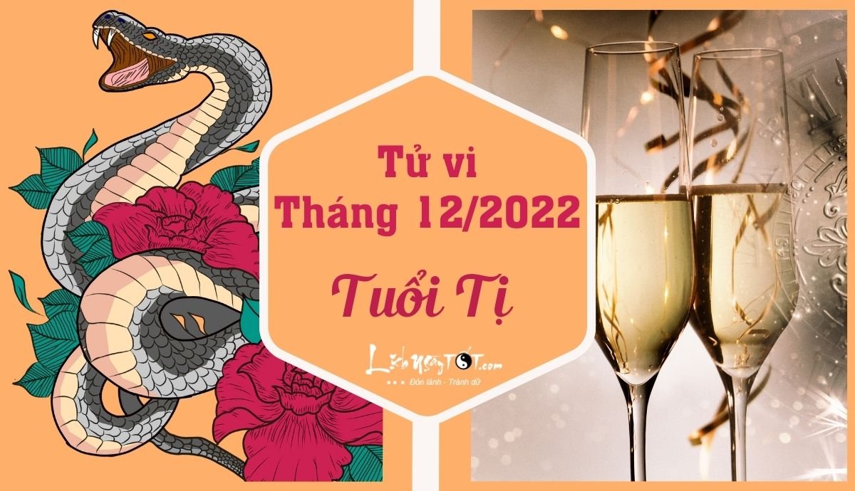 Tu vi thang 12/2022 tuoi Ti am lich