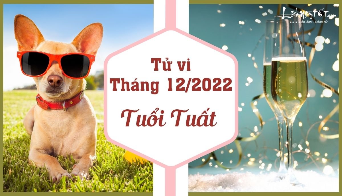 Tu vi thang 12/2022 tuoi Tuat am lich