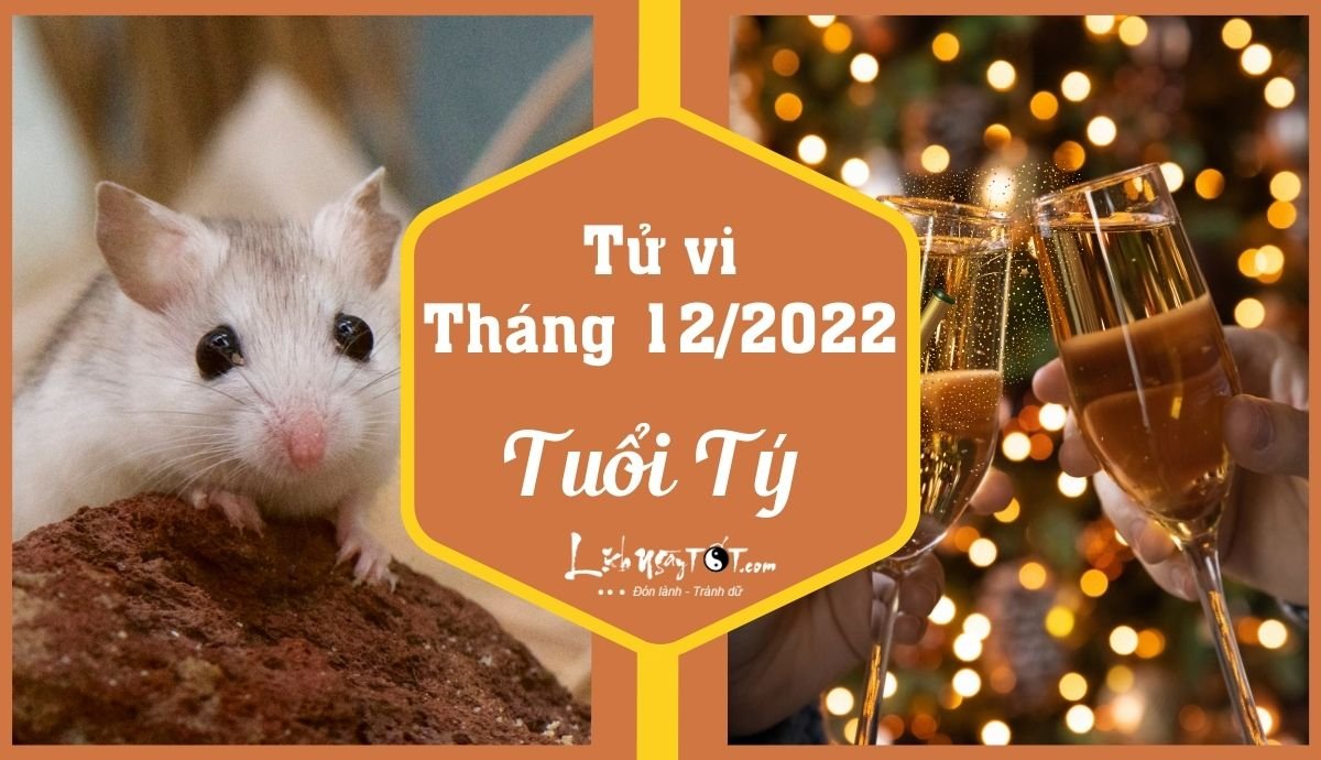 Tu vi thang 12/2022 tuoi Ty am lich