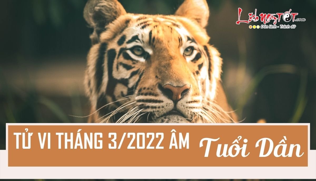 Tu vi thang 3/2022 tuoi Dan am lich