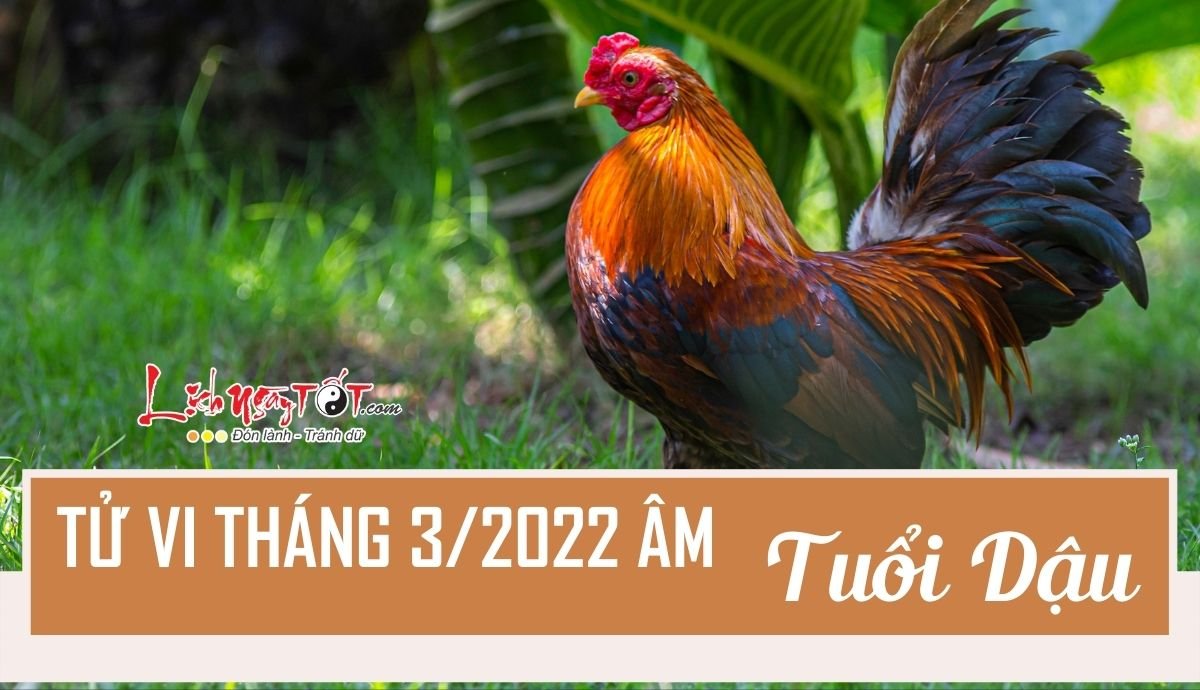 Tu vi thang 3/2022 tuoi Dau am lich
