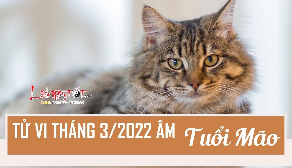 Tu vi thang 3/2022 tuoi Mao am lich