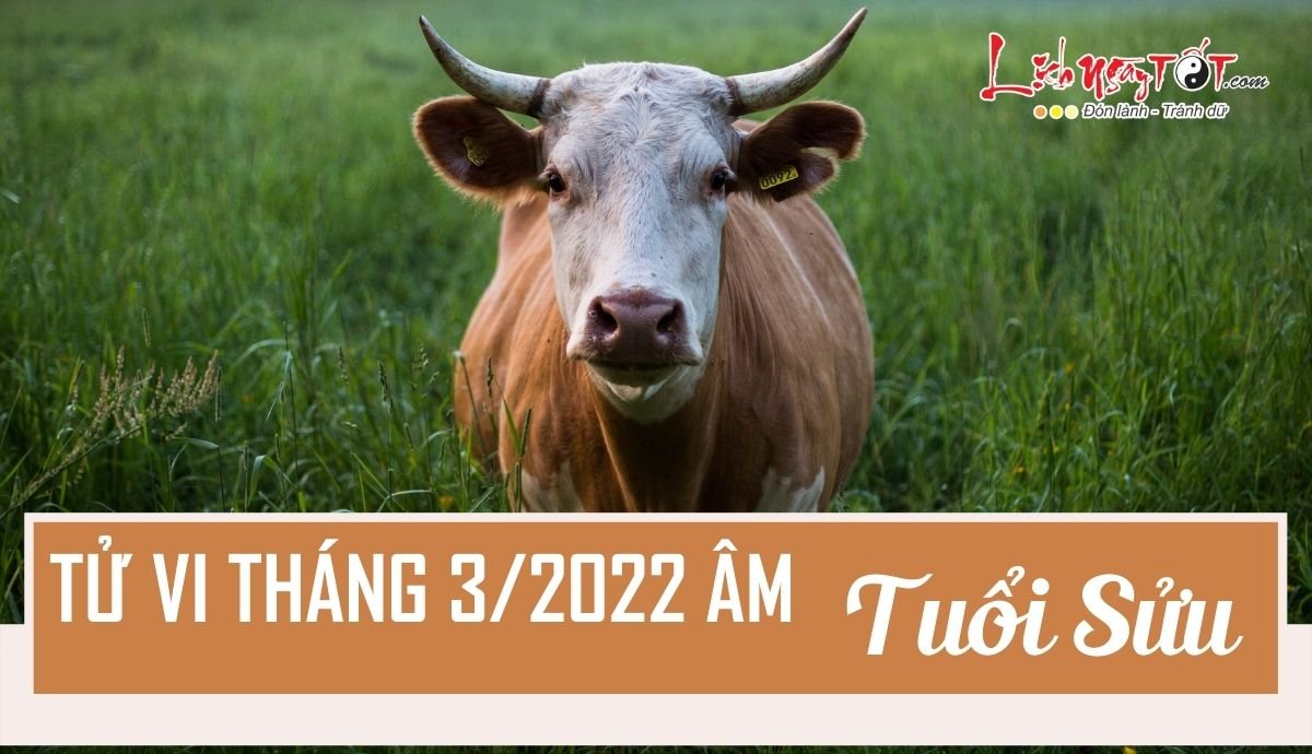 Tu vi thang 3/2022 tuoi Suu am lich