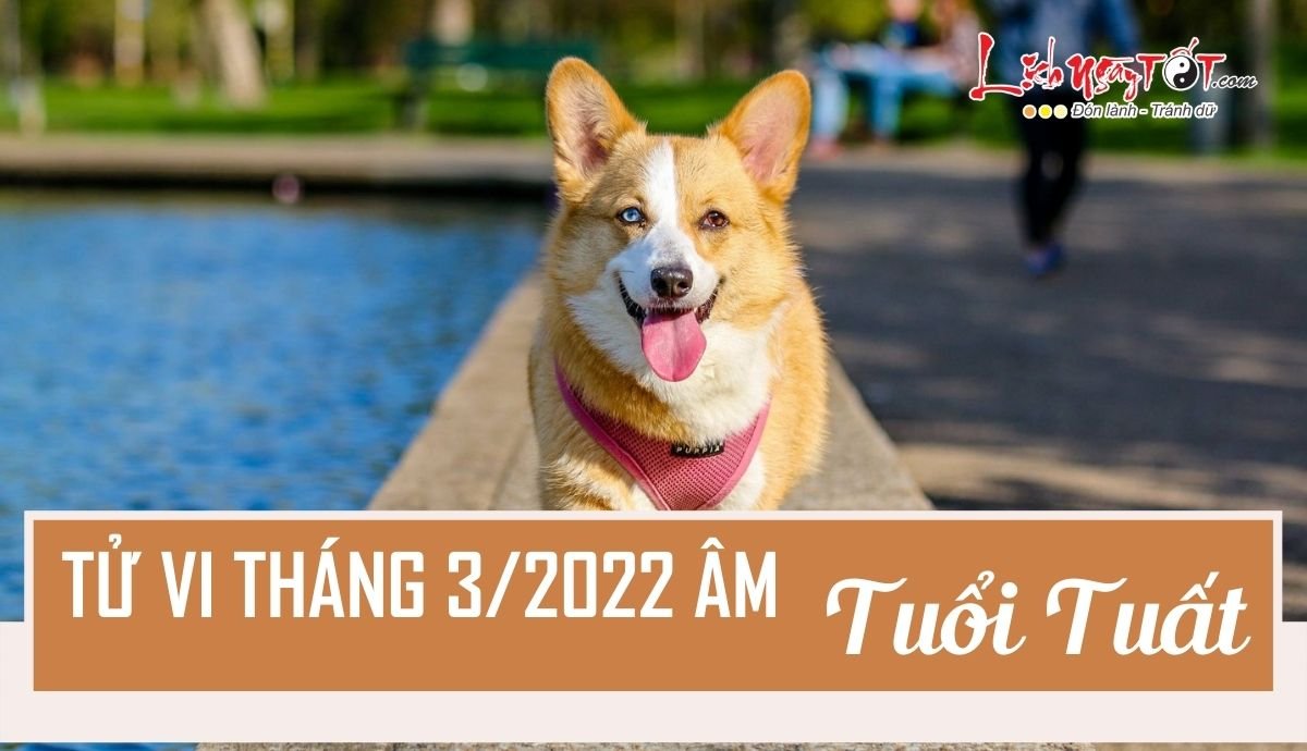 Tu vi thang 3/2022 tuoi Tuat am lich