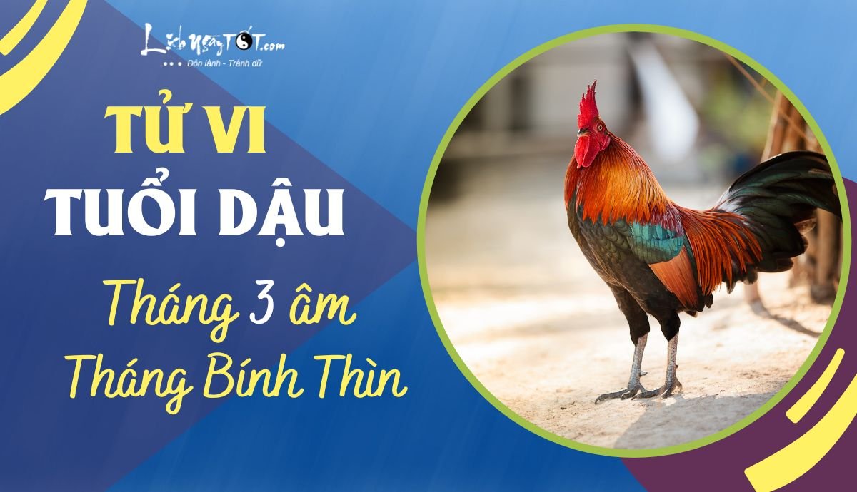 Tu vi thang 3/2023 tuoi Dau am lich