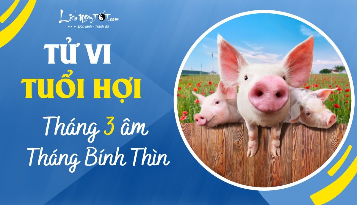 Tu vi thang 3/2023 tuoi Hoi am lich