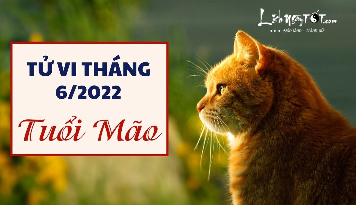Tu vi thang 6/2022 tuoi Mao am lich