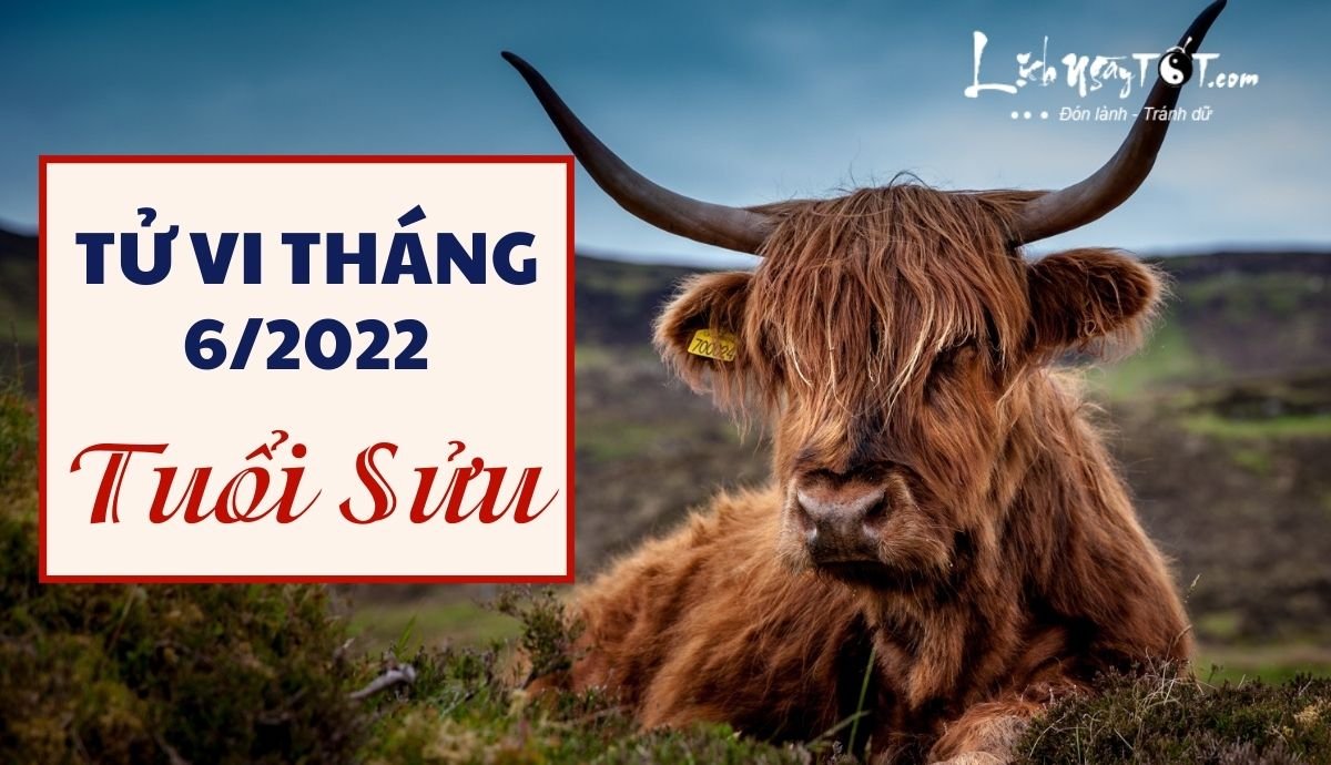 Tu vi thang 6/2022 tuoi Suu am lich