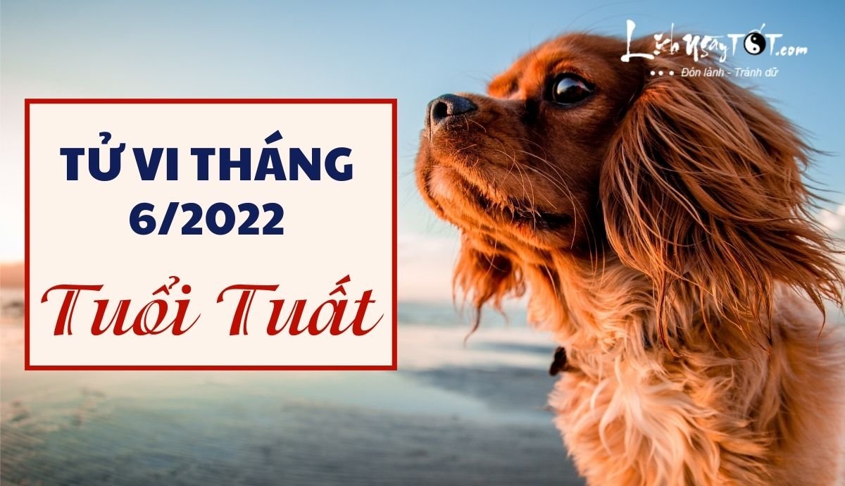 Tu vi thang 6/2022 tuoi Tuat am lich