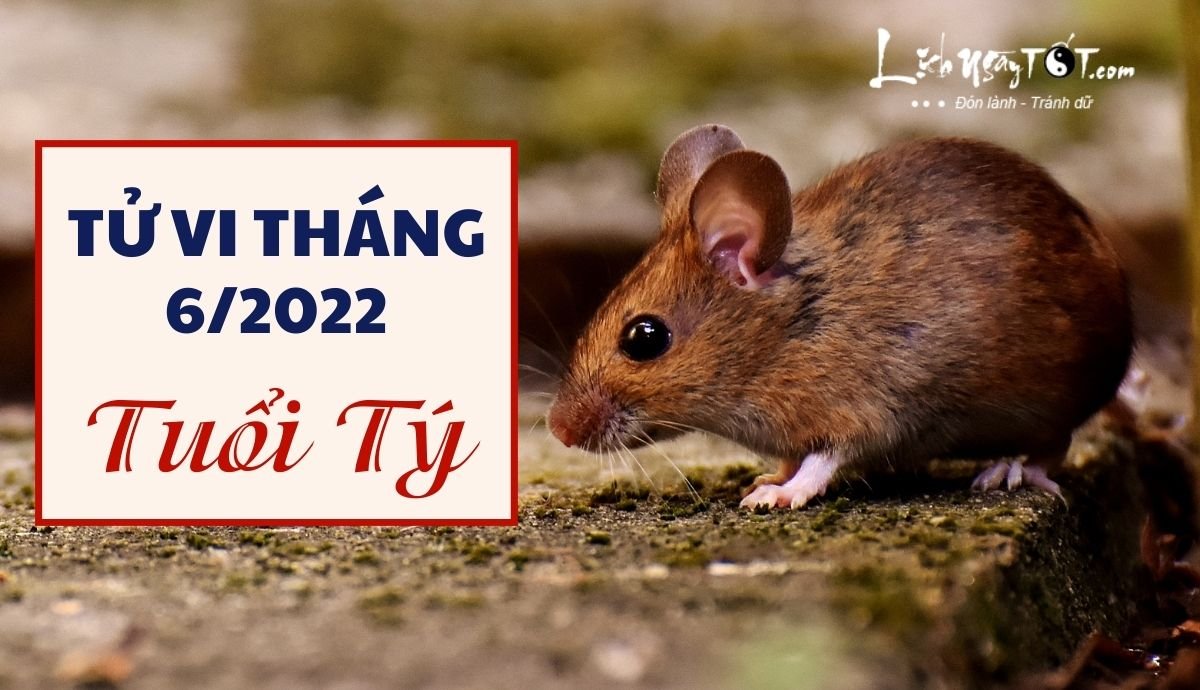 Tu vi thang 6/2022 tuoi Ty am lich