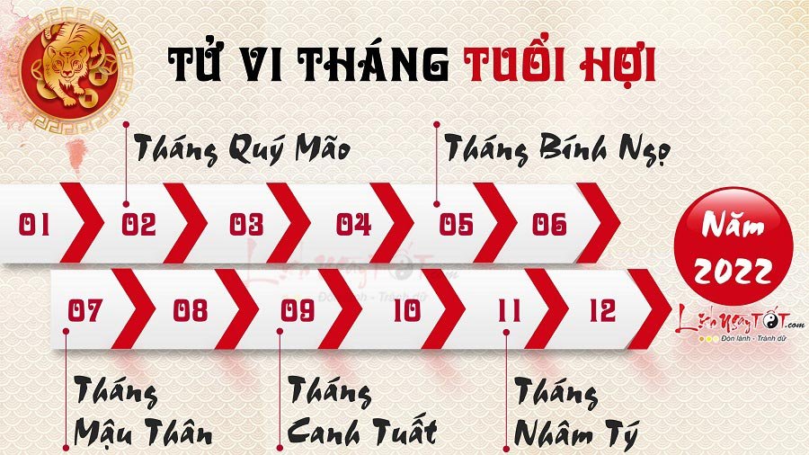 Tu vi 12 thang nam 2022 cua nguoi tuoi Hoi