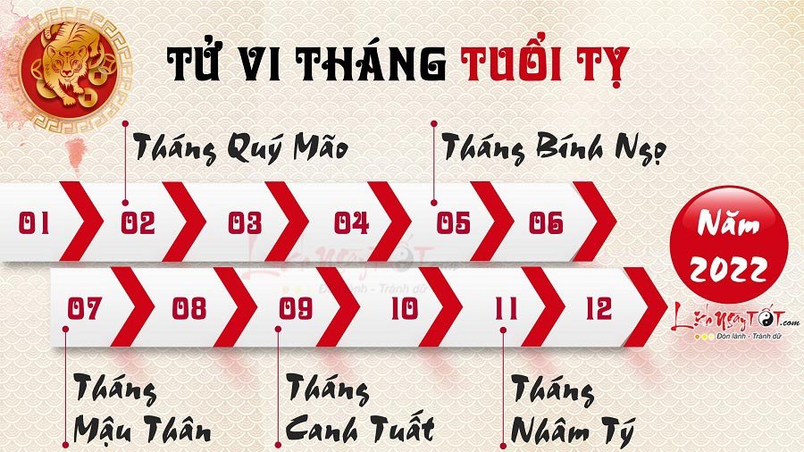 Tu vi hang thang nam 2022 cua tuoi Ty