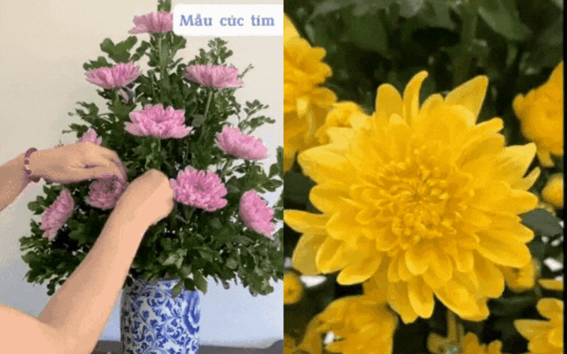 untitled-design-1-17049930255301002120458