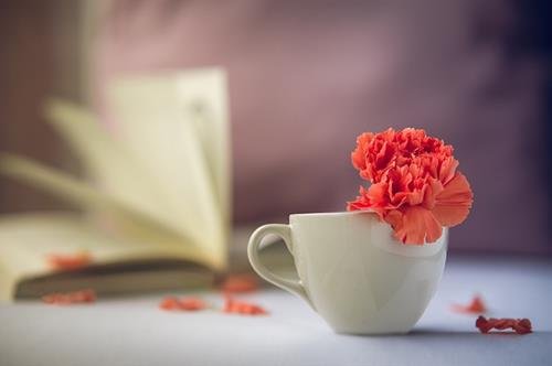 Co nhan day cach can bang cuoc song