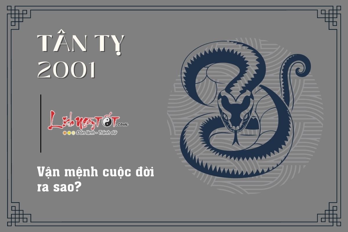 Vận mệnh tuổi Tân Tị 2001 Van menh tuoi Tan Ti 2001