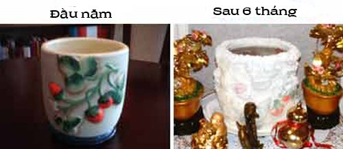 Vi sao nen dat mot bat nuoc muoi phong thuy dung ngay mung 1 Tet hinh anh 3