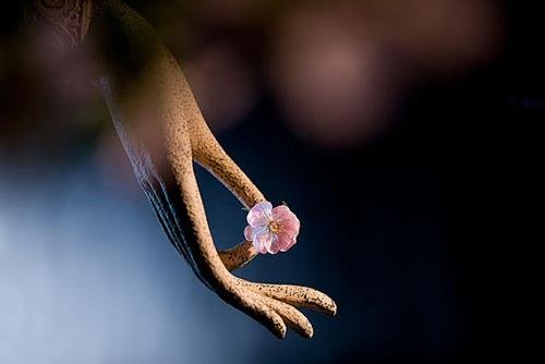 Viec lam tich am duc 4