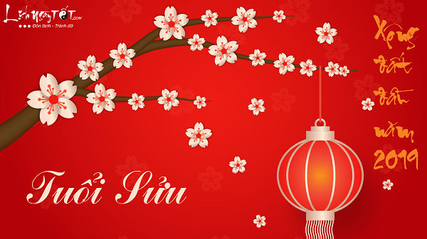 Xem tuoi xong dat 2019 cho tuoi Suu