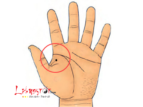 not ruoi o go hoa tinh duong not ruoi o go hoa tinh duong