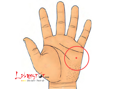 not ruoi son o go hoa tinh am not ruoi son o go hoa tinh am