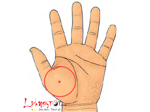 not ruoi son o go kim tinh not ruoi son o go kim tinh