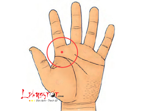 not ruoi son o go moc tinh not ruoi son o go moc tinh