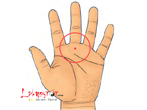 not ruoi son o go tho tinh not ruoi son o go tho tinh