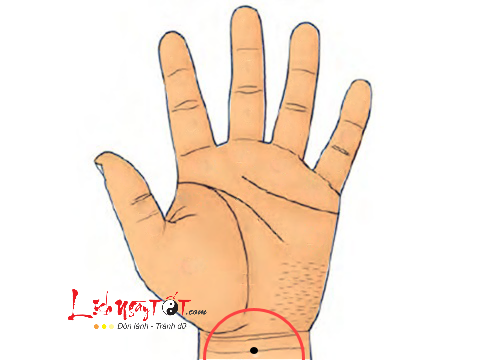 not ruoi tren co tay not ruoi tren co tay