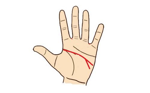 xem duong chi tay tri tue re 2 nhanh