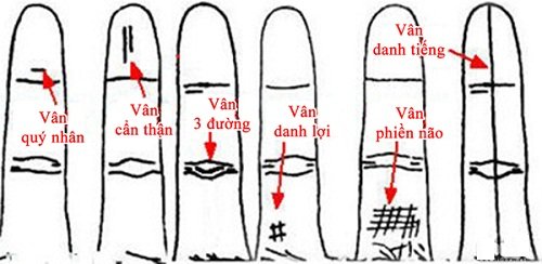 Xem thanh cong that bai qua duong van ngon tay ap ut hinh anh