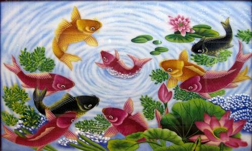 7tuoi ngo cuu ngu quan hoi