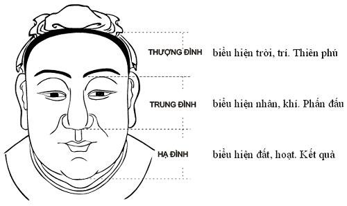 Bạn hiểu thế nào về xem bói tướng mặt hình ảnh 2 Ban hieu the nao ve xem boi tuong mat hinh anh 2