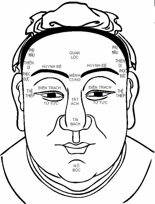 Bạn hiểu thế nào về xem bói tướng mặt hình ảnh 3 Ban hieu the nao ve xem boi tuong mat hinh anh 3