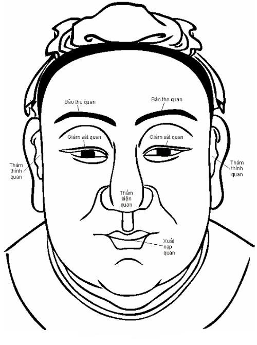 Bạn hiểu thế nào về xem bói tướng mặt hình ảnh Ban hieu the nao ve xem boi tuong mat hinh anh